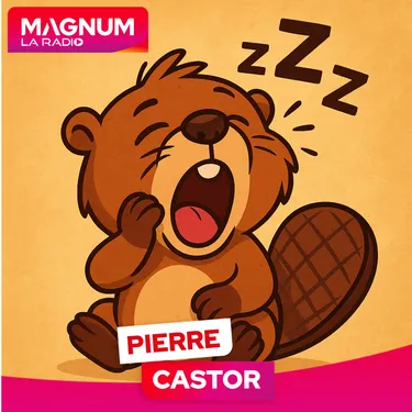 Pierre CASTOR 19.11.2025 : Pourquoi on baille quand quelqu’un bâille ?