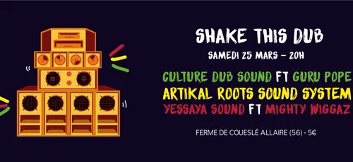 Allaire. Troisième édition de Shake this dub ce samedi