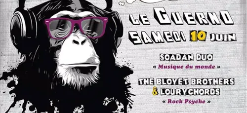 Les Z’illuminés 2017