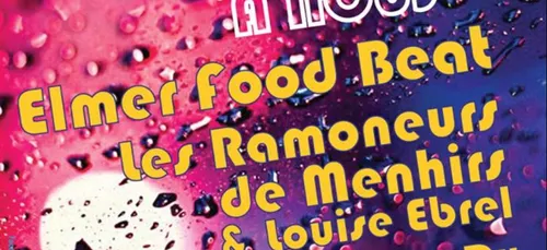 Festival à loudéac avec Elmerfoodbeat