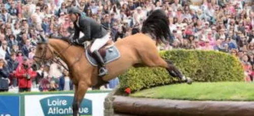 Equitation. Le début aujourd'hui du Celtik Jump à Lanester