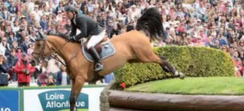 Equitation. Julien Gonin s'impose à Lanester