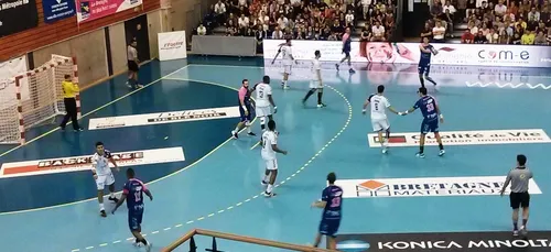 Hand. 10e journée de D1 ce soir