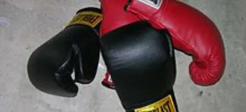 Boxe. Auray accueillait le 10e combat professionnel de Terry Le...