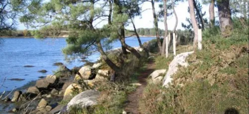 L’agglomération de Vannes accompagne le développement du trail