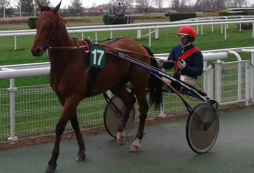 Hippisme : Nos préférés pour ce samedi 8 septembre