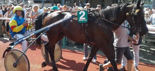 Hippisme : Nos préférés pour ce samedi 15 septembre
