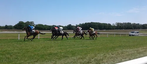 Hippisme : Nos préférés pour ce dimanche 16 septembre