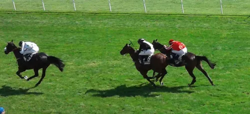 Hippisme : Nos préférés pour ce samedi 22 septembre