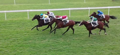 Hippisme : Nos préférés pour ce dimanche 23 septembre