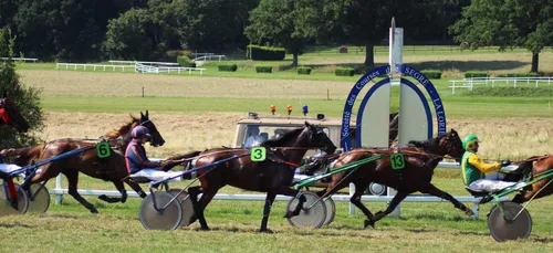 Des courses hippiques dimanche et lundi à Segré