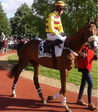 Hippisme : Nos préférés pour ce samedi 29 septembre