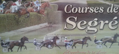 Hippisme : Nos préférés pour ce dimanche 30 septembre