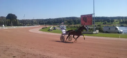 Hippisme : Nos préférés pour ce samedi 6 octobre