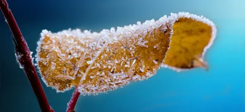 C'est l'automne ! Piqûre de rappel dans les prochains jours avec...