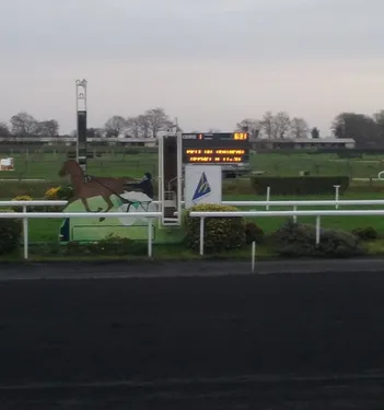 Hippisme : Nos préférés pour ce dimanche 28 octobre