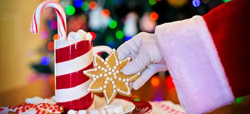 Marché de Noël le Dimanche 25 Novembre à Segré !