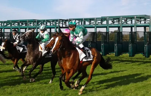 Hippisme : Nos préférés pour ce samedi 10 novembre
