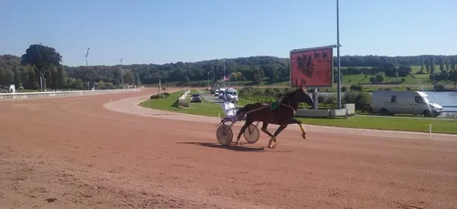 Hippisme : Nos préférés pour ce samedi 17 novembre