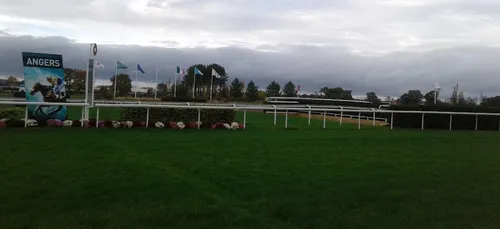 Hippisme : Nos préférés pour ce dimanche 25 novembre