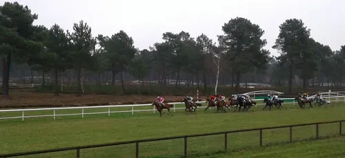 Hippisme : Nos préférés pour ce dimanche 2 decembre