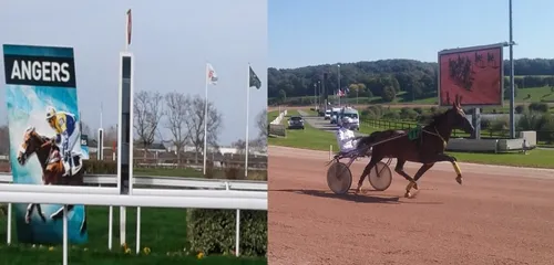 Hippisme : Nos préférés pour ce dimanche 9 décembre