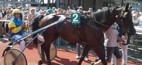 Hippisme : Nos préférés pour ce samedi 5 janvier