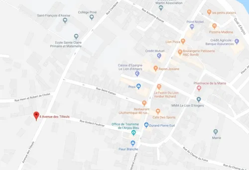 Le Lion d'Angers. Grosse coupure de courant en centre-ville