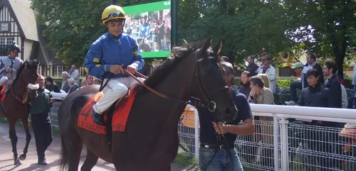 Hippisme : Nos préférés pour ce samedi 19 janvier