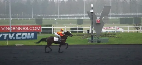 Hippisme : Nos préférés pour ce dimanche 20 janvier