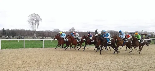 Hippisme : Nos préférés pour ce samedi 2 février
