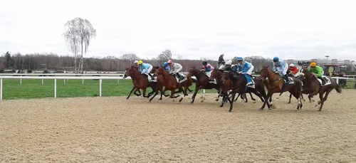 Hippisme : Nos préférés pour ce samedi 16 février