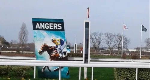 Hippisme : Nos préférés pour ce dimanche 17 février