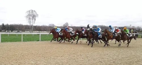 Hippisme : Nos préférés pour ce samedi 23 février