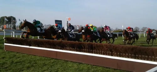 Hippisme : Nos préférés pour ce dimanche 24 février