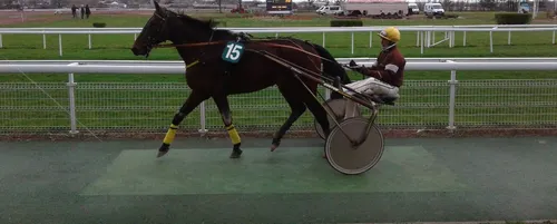 Hippisme : Nos préférés pour ce samedi 2 mars