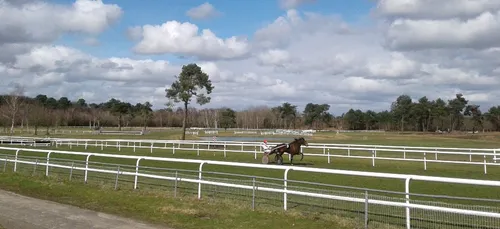Hippisme : Nos préférés pour ce dimanche 3 mars