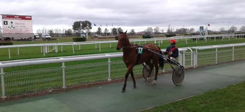 Hippisme : Nos préférés pour ce dimanche 10 mars