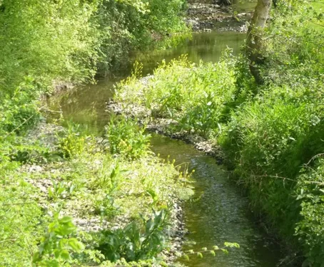 Journée de l’Eau : des évènements en Mayenne et Maine et Loire