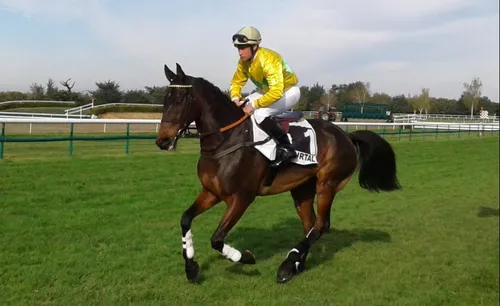 Hippisme : Nos préférés pour ce samedi 16 mars