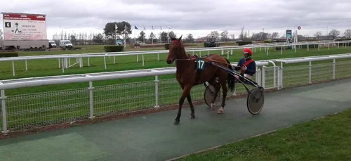 Hippisme : Nos préférés pour ce samedi 6 avril