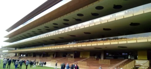 Hippisme : Nos préférés pour ce dimanche 14 avril