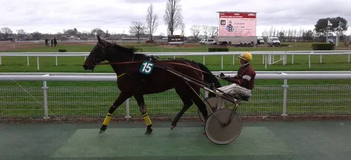 Hippisme : Nos préférés pour ce samedi 20 avril