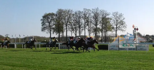 Hippisme : Nos préférés pour ce dimanche 21 avril