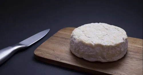E. Coli : rappel de fromages Saint Marcellin et Saint Félicien