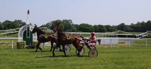 Hippisme : Nos préférés pour ce dimanche 5 mai