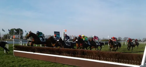 Hippisme : Nos préférés pour ce samedi 11 mai