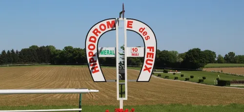 Hippisme : Nos préférés pour ce dimanche 12 mai