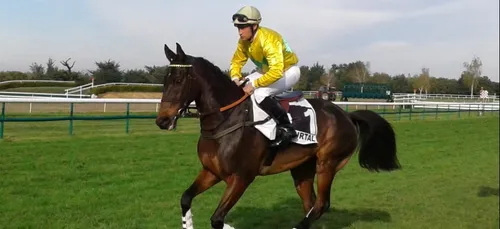 Hippisme : Nos préférés pour ce samedi 18 mai