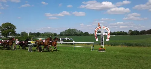 Hippisme : Nos préférés pour ce dimanche 19 mai